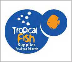 Tropical fish logo design.